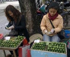 檳榔女是什么意思